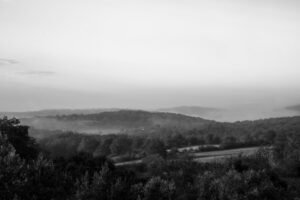 Rising mist, black and white