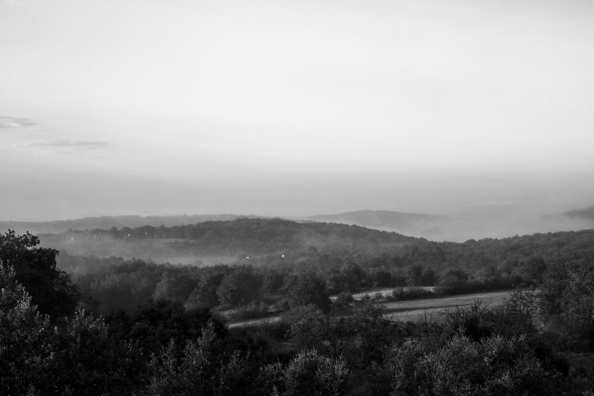 Rising mist, black and white